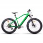 FC2 26 Inch Electric Mountain Bike