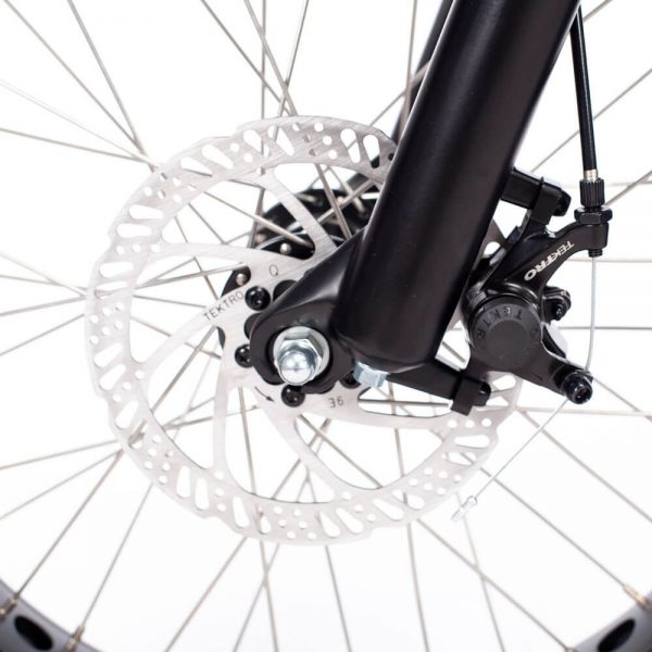 FT20 Inch Fat Tire Folding Electric Bike (250W, 13Ah, 9 Speed)